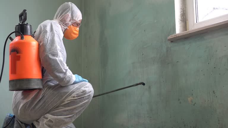 Best Mold Remediation for Healthcare Facilities  in Stanford, KY